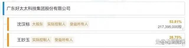 、净利下滑旗下电动晾衣机曾抽查不合格k8凯发入口好太太去年前三季度营收(图9)