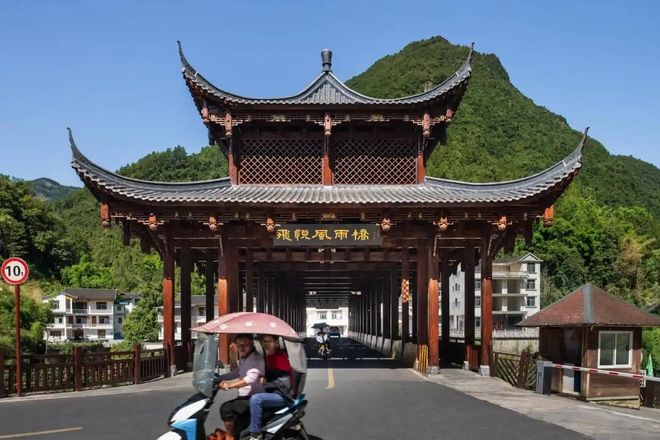 告树立行业可持续发展标杆冰熊旗舰店发布ESG报(图9)